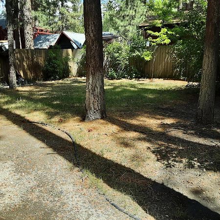 Bearadise - Prime Location For A Family Getaway In The Winter Or Summer Big Bear City Eksteriør bilde