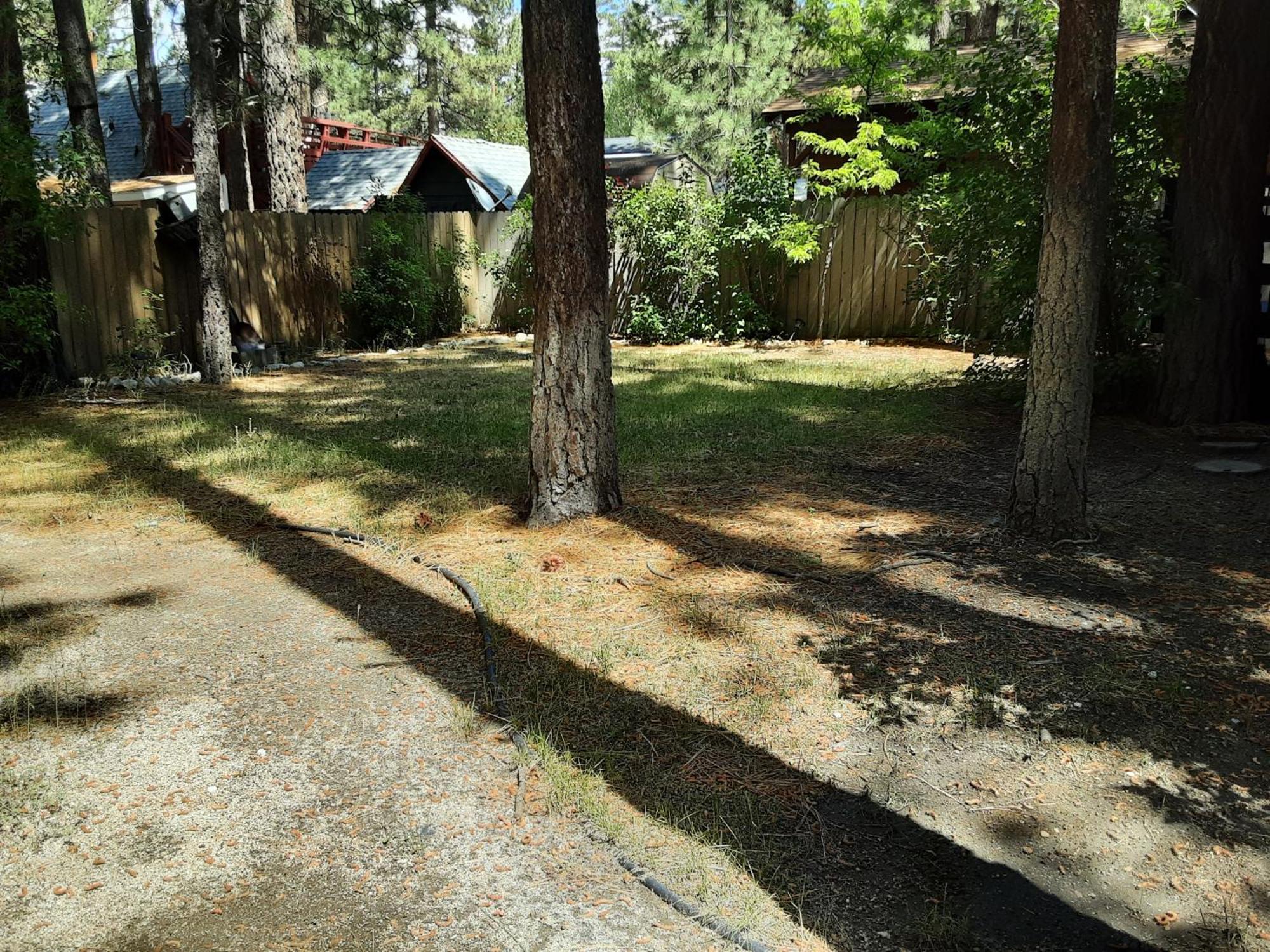 Bearadise - Prime Location For A Family Getaway In The Winter Or Summer Big Bear City Eksteriør bilde